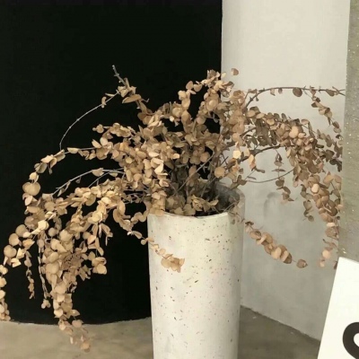 富蕴福瑞交流群